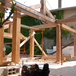 structure bois professionnel